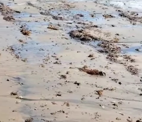 Moradores de Arraial D'Ajuda reclamam de descarte de esgoto na Praia de Araçaipe