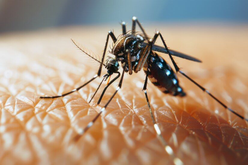 Dengue no Brasil: 1.008 óbitos registrados em 2025, com São Paulo liderando