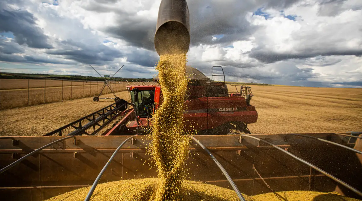 Impactos da tarifa americana na economia baiana