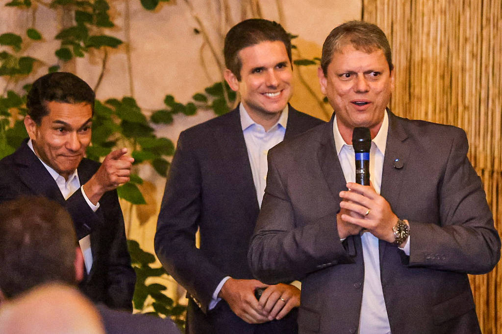 Tarcísio defende anistia, mas Câmara segue sem decisão, afirma Motta