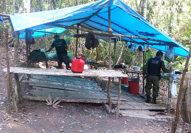 Brasil registra recorde histórico de denúncias de trabalho escravo em 2025