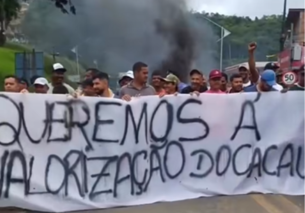 Produtores de cacau na Bahia protestam por melhores preços e recebem apoio de deputado