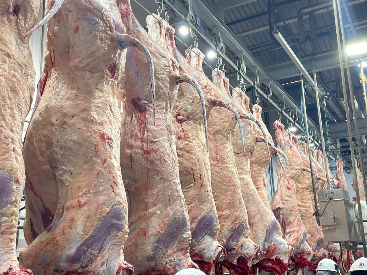 Programa Carne Angus Certificada realiza primeiro abate na Bahia