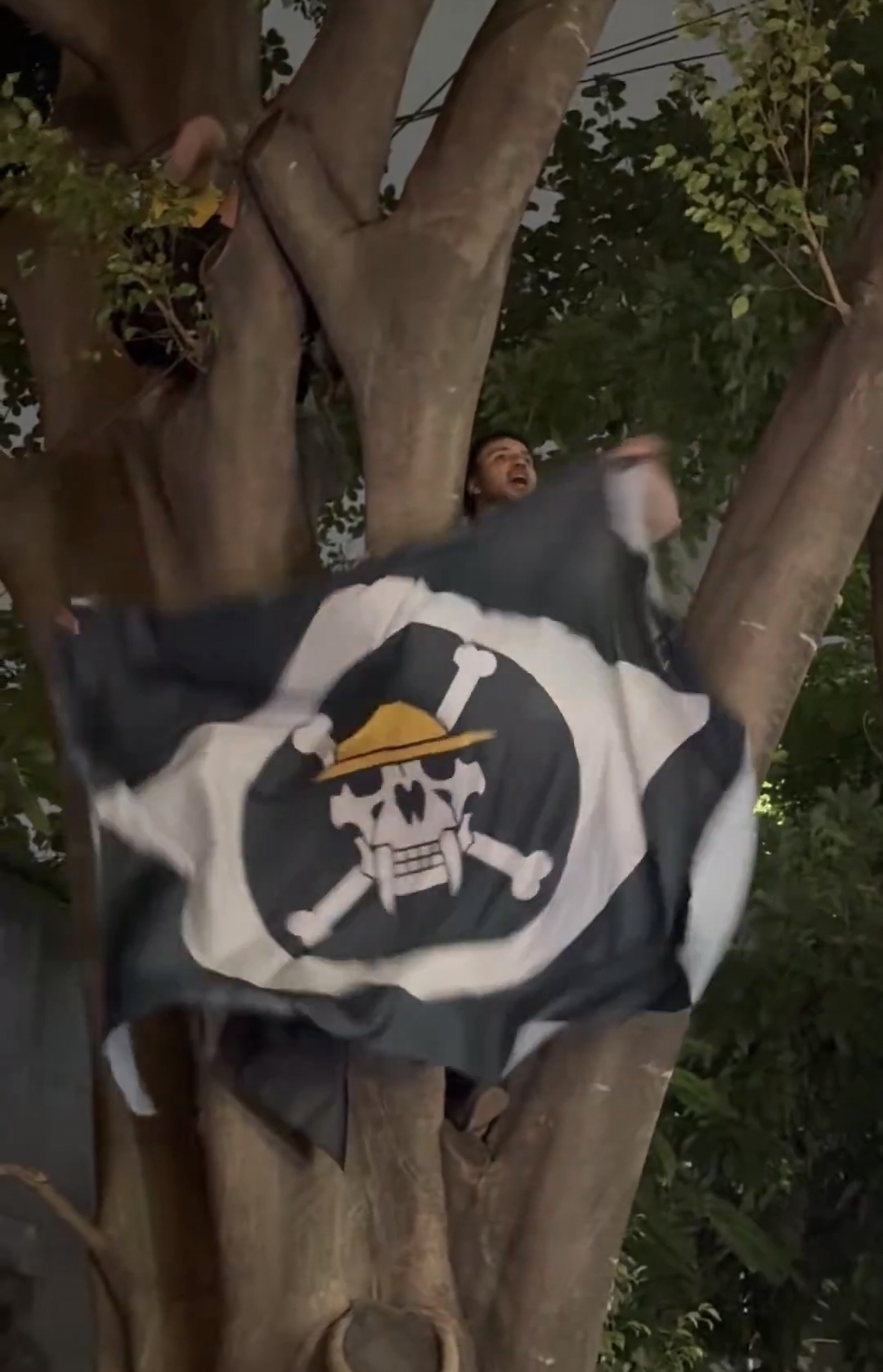 Renan Santos ergue bandeira simbólica da Geração Z em manifestação contra corrupção no Banco Master