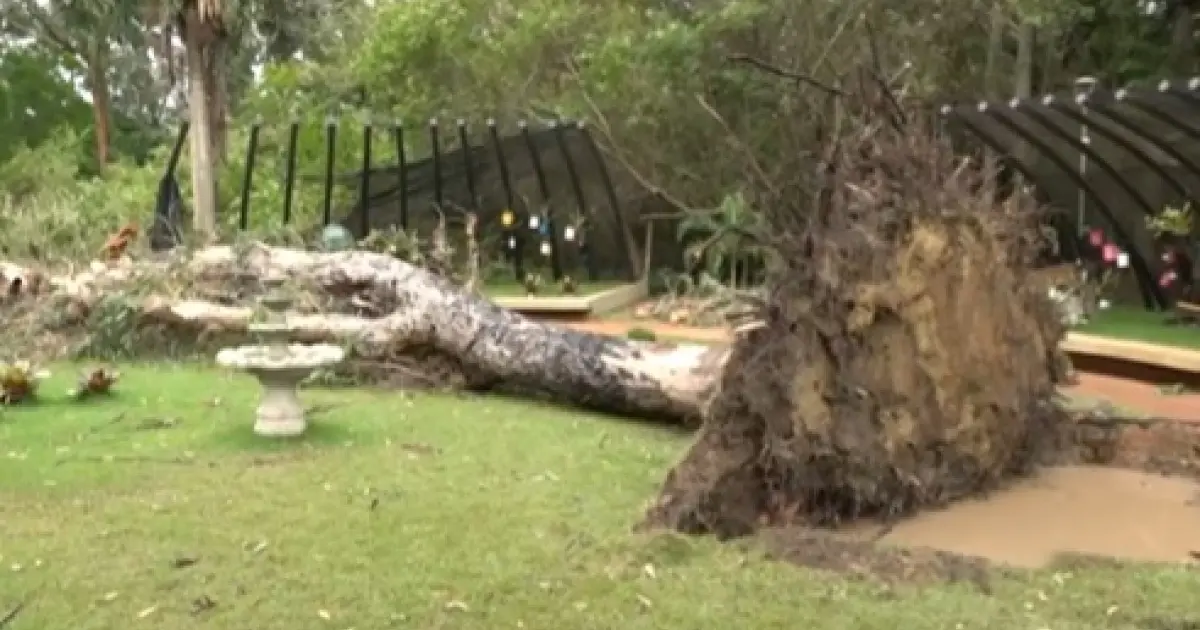 Temporal provoca queda de árvore, alagamentos e falta de luz em Vitória da Conquista