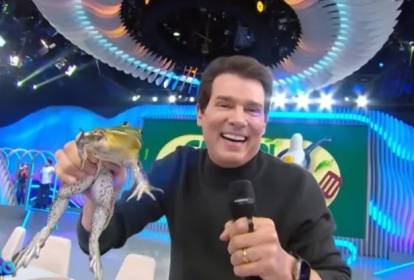 Ministério Público de São Paulo investiga Celso Portiolli e o SBT por supostos maus-tratos a uma rã