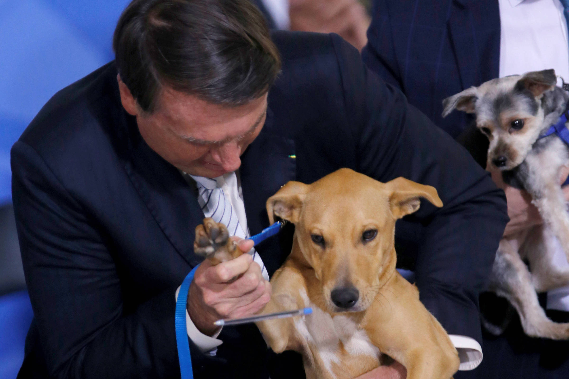 Policial militar é mordido por cachorro de Bolsonaro durante prisão domiciliar