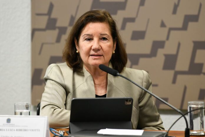 Revogação de visto da embaixadora Maria Luiza Viotti provoca tensão diplomática