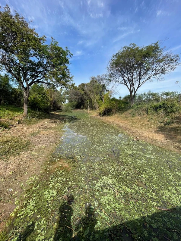 MP-BA processa quilombolas por pesca de quatro peixes