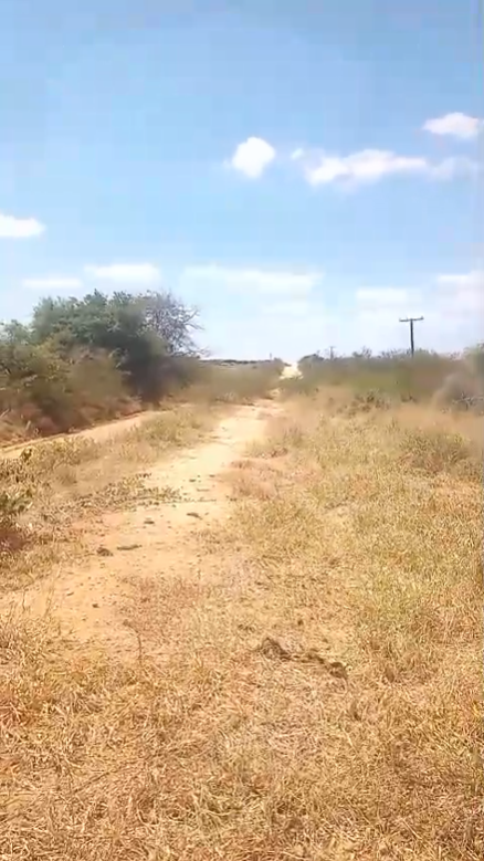 Ouvinte denuncia abandono da BA-403 entre Nova Soure e Sátiro Dias