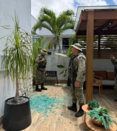 Macaco-prego foge, invade casas e fere moradores em condomínio de luxo em Salvador